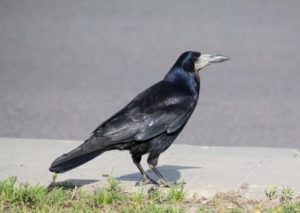 KtVaEgZ7zu852eTdpPKBZQ 650 80