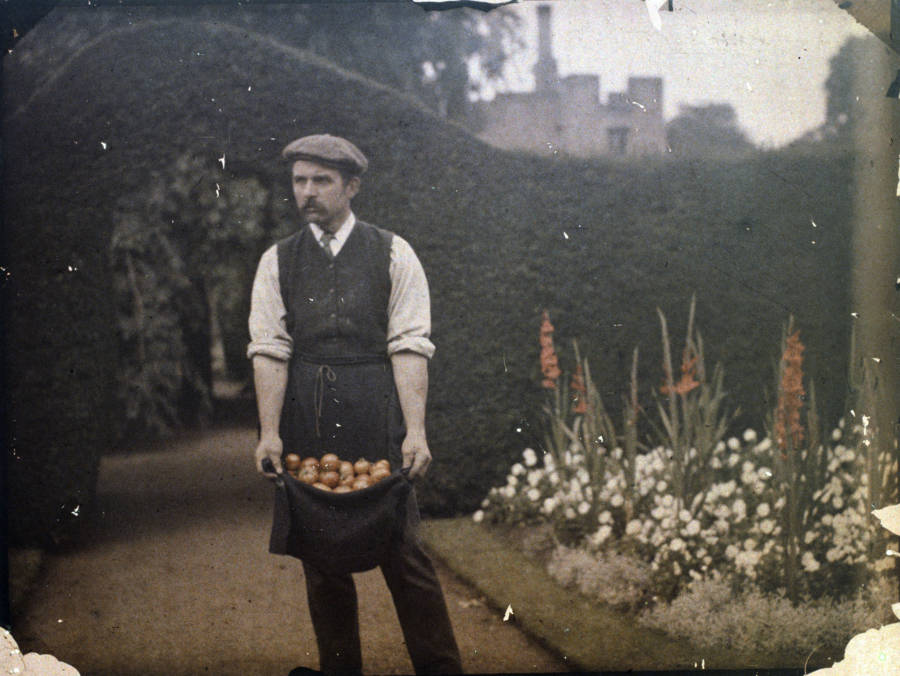 holding tomatoes