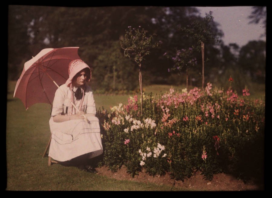 pink parasol