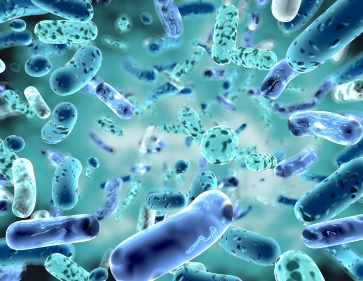 Probiotics players express solid supply expectations amid surging sales wrbm large