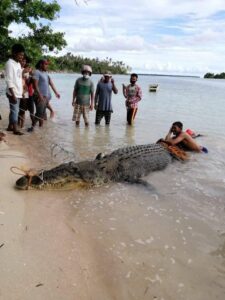 crocodile tawi tawi