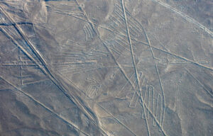 nazca condor resize md