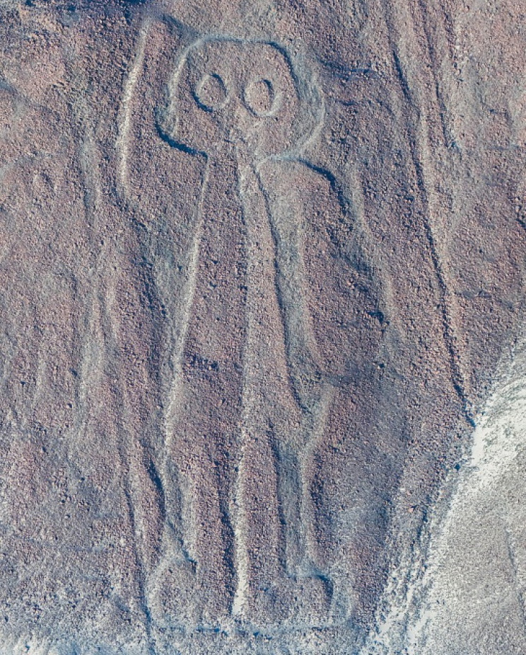 nazca giant resize md