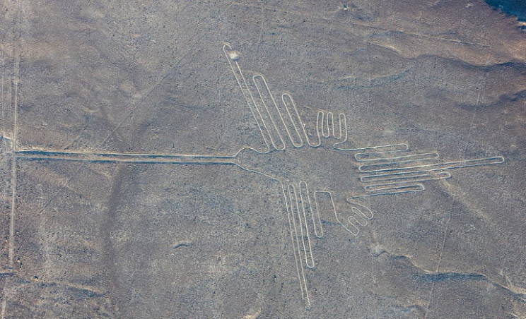 nazca hummingbird resize md