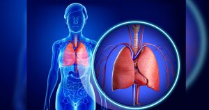 lungs