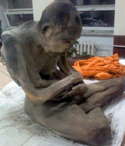monk 1 siberian.times 635588395419442932