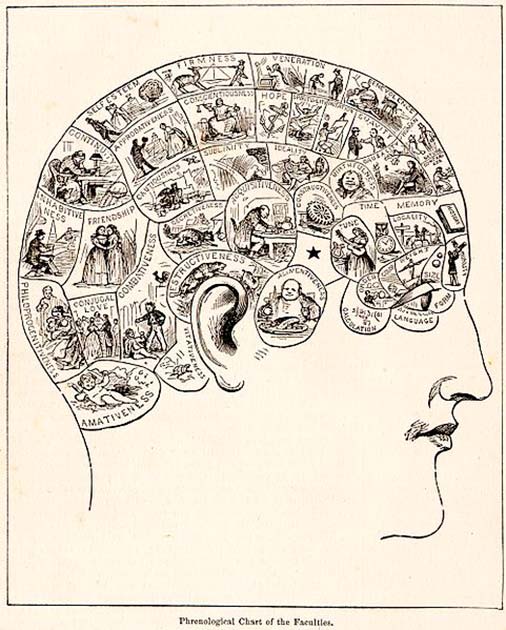 1883 مخطط فراسة الدماغ المجال العام