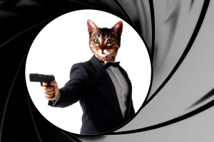 spy cat
