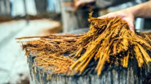 know_DMT_GettyImages1298456780_Header-1024x575