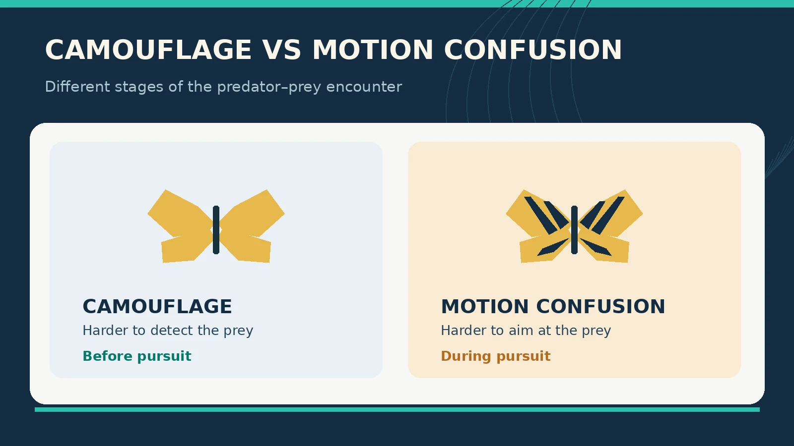 Why Are Butterflies So Hard to Catch? Their Wing Optical Illusion Explained 4 Conceptual distinction between camouflage and motion confusion; both can coexist with other functions.