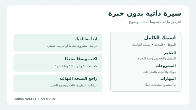 رسم توضيحي لأقسام سيرة ذاتية بدون خبرة: التعليم والمشروعات والمهارات