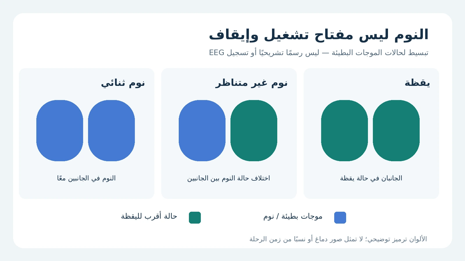 رسم مبسط يميز اليقظة والنوم غير المتناظر والنوم الثنائي بلونين
