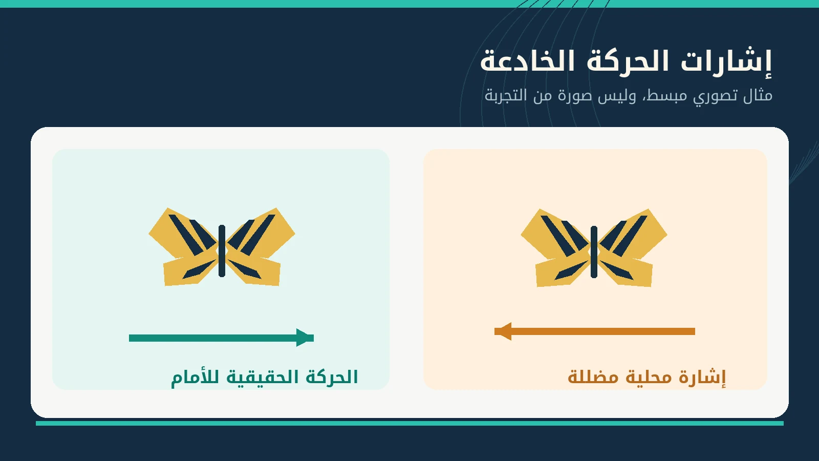 لماذا يصعب الإمساك بالفراشات؟ خدعة بصرية مذهلة تخفيها حركة الأجنحة 2 توضيح تصوري لاتجاه الجسم مقابل إشارة حركة محلية مضللة؛ ليس إعادة إنتاج لمخرجات التجربة.