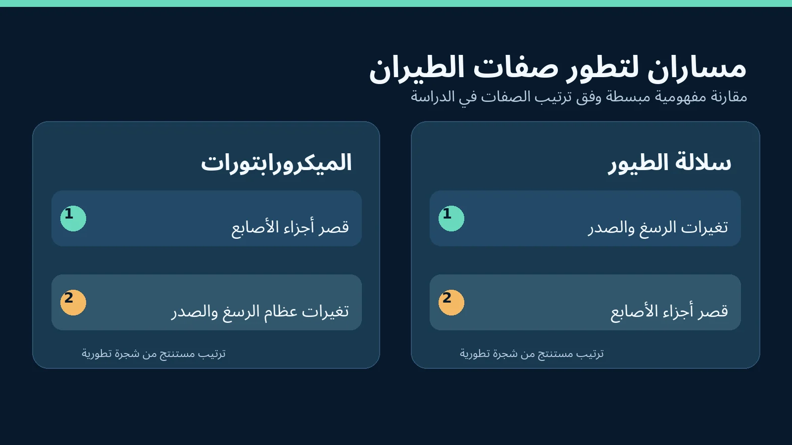 ديناصور بأربعة أجنحة يعيد كتابة تاريخ الطيران: ماذا تكشف أحفورة نوريلرابتور؟ 2 رسم أصلي مبسط لاختلاف ترتيب الصفات التشريحية حسب تحليل الدراسة.