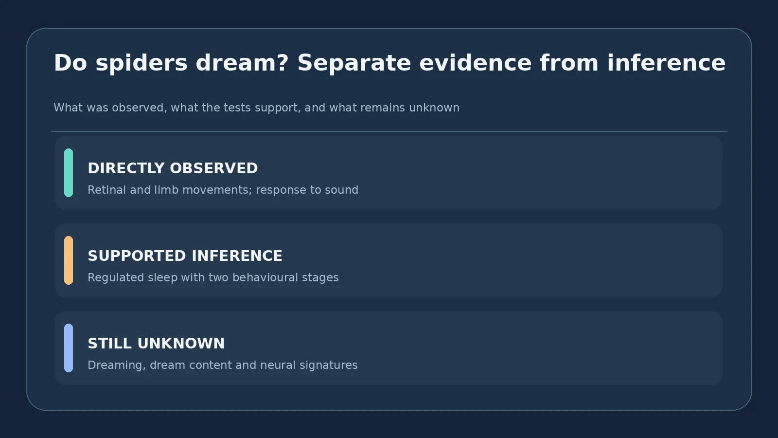 Do Jumping Spiders Dream? Two Sleep Stages and a REM-Like Discovery 4 Evidence ladder comparing direct observations, supported inference, and open dream questions