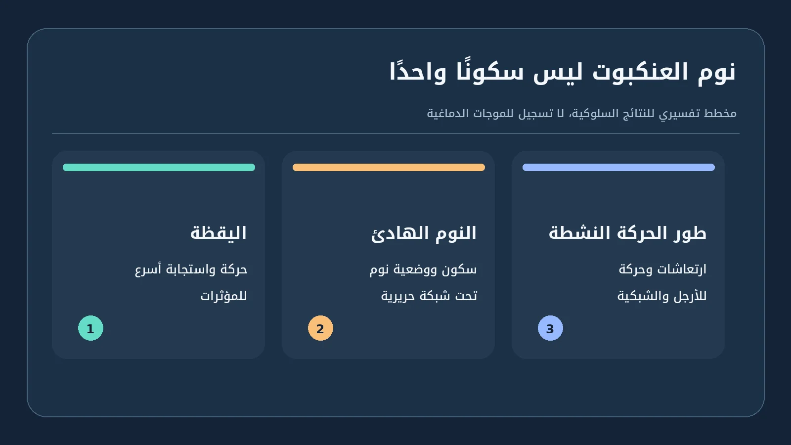 هل تحلم العناكب أثناء النوم؟ دراسة تكشف مرحلتين تشبه إحداهما REM 2 مخطط ثلاث حالات للعنكبوت: يقظة ونوم هادئ وطور نوم شبيه بـREM
