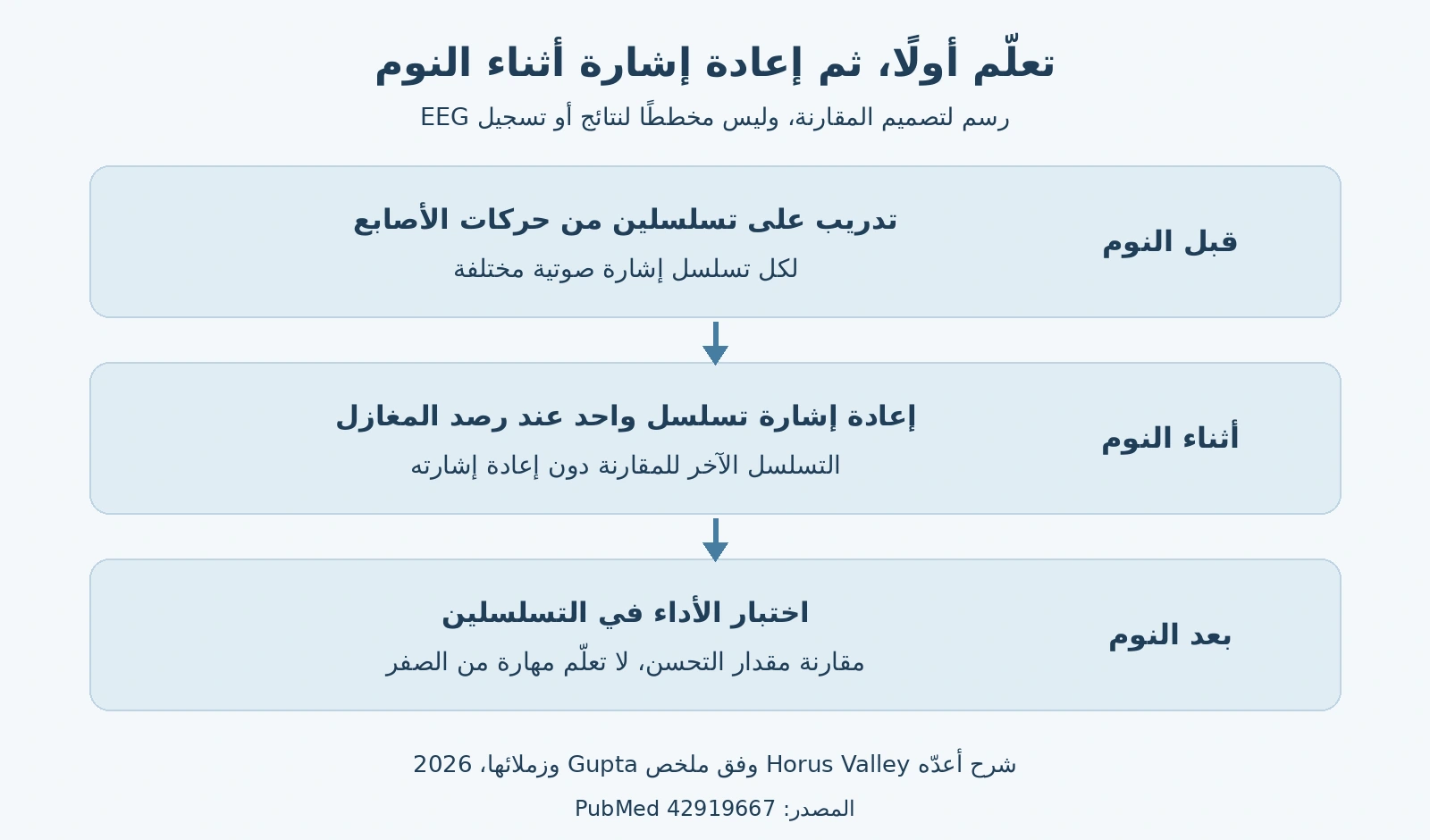رسم يشرح التدريب على تسلسلين ثم إعادة إشارة أحدهما أثناء النوم واختبار الاثنين بعده